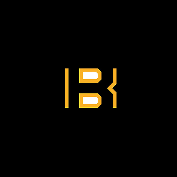 Boston Bruins logo .