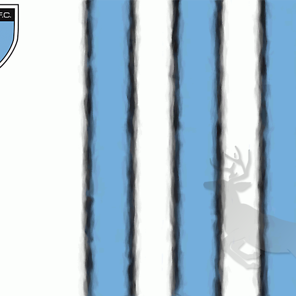 Mérida Fútbol Club Flag