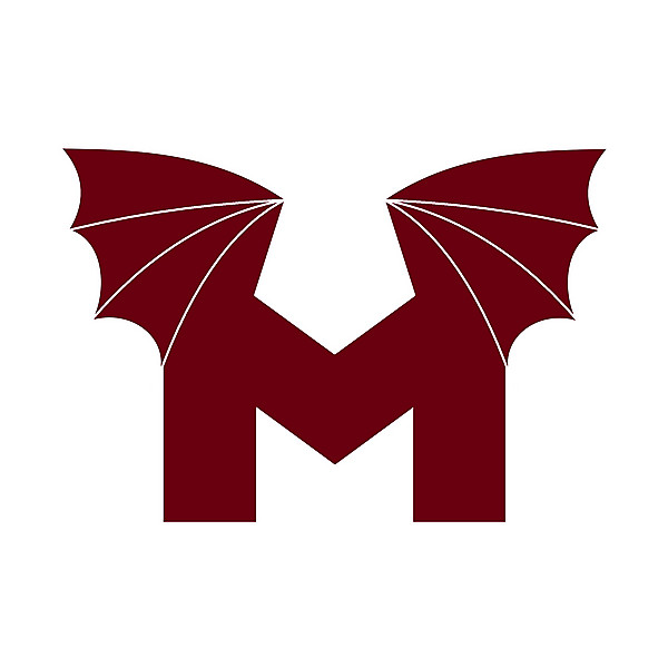 FC Metz logo .