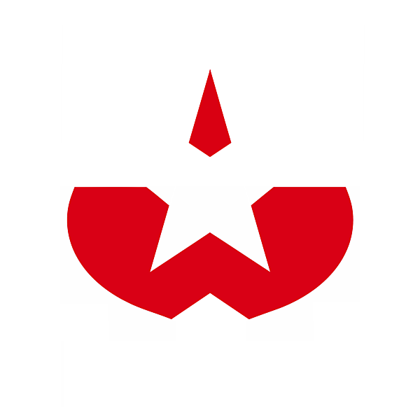 FC Stern Wien logo.