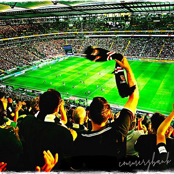 German Football Fans in flight