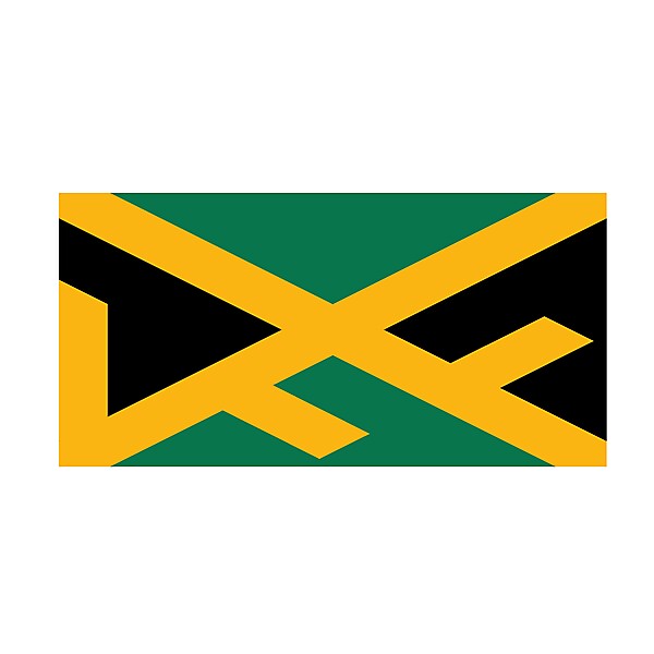 Jamaica Football Federation  logo .