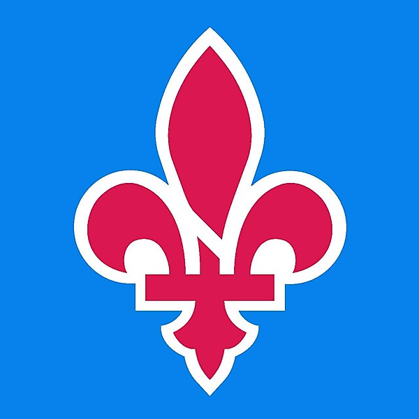 Quebec Nordiques alternative logo concept .