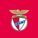 Football crests - redesigns